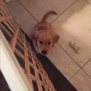 Meet your Posher, Jillian